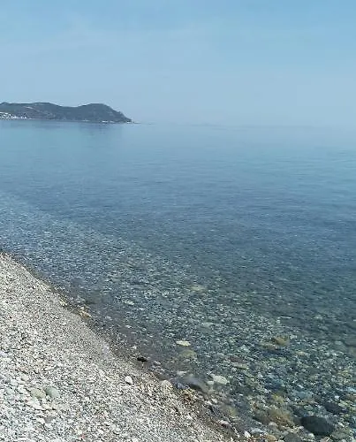 Νανα Πλατανα * Platana